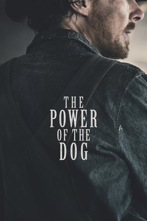 El poder del perro (2021)